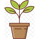 Planta  Icono