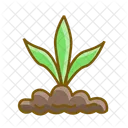 Planta  Icono