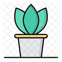 Planta  Icono