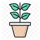 Planta  Icono