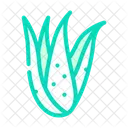 Planta Aloe Vera Icon