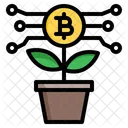 Planta Crecimiento Bitcoin Icon