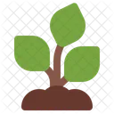 Planta Vegetal Jardin Icon