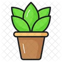 Planta Botanica Ecologia Icon