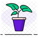 Planta Natureza Folha Icon