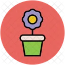 Planta Olla Creciente Icon