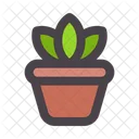 Planta Maceta Maceta Icon