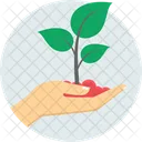 Plantar Natureza Salvar Planta Icon