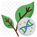 ADN Vegetal Desarrollado Agricultura Icono