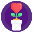 Plantar amor  Icon