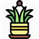 Planta Arana Planta De Interior Jardineria Icono