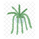 Planta araña  Icono