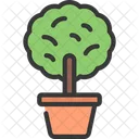 Planta de arbol  Icono