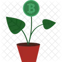 Planta de bitcoin  Ícone