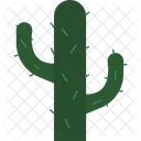 Planta de cactus  Icono