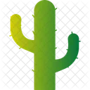 Planta de cactus  Icono