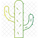 Planta de cactus  Icono