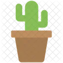 Cactus Planta Suculentas Icono