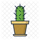 Planta de cactus  Icono