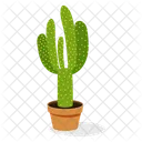 Planta de cactus  Icono