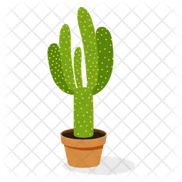 Planta de cactus  Icono