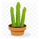 Planta de cactus  Icono