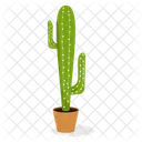 Planta de cactus  Icono