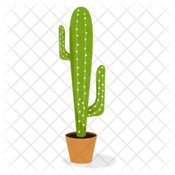 Planta de cactus  Icono