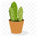 Planta de cactus  Icono