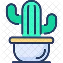 Planta de cactus  Icono