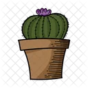 Planta de cactus  Icono