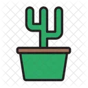 Planta de cactus  Icono