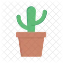 Planta De Cactus Maceta De Cactus Cactus Icono