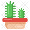 Planta de cactus  Icono