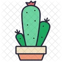 Planta De Cactus Maceta De Cactus Planta Icono