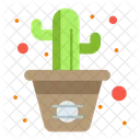 Planta de cactus  Icono