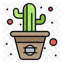 Planta de cactus  Icono