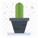 Planta de cactus  Icono