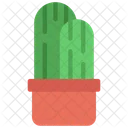 Planta de cactus  Icono