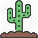 Planta de cactus  Icono