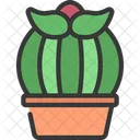 Planta de cactus  Icono