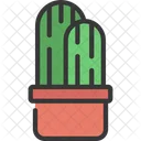 Planta de cactus  Icono