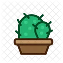 Planta de cactus  Icono