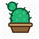 Planta de cactus  Icono