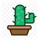 Planta de cactus  Icono