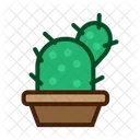 Planta de cactus  Icono