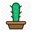 Planta de cactus  Icono