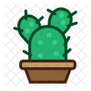 Planta de cactus  Icono