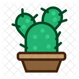 Planta de cactus  Icono