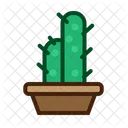 Planta de cactus  Icono